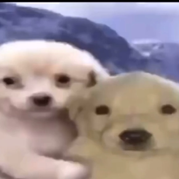 !!! - Picture 1 of 1